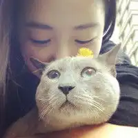 可爱的表情两闺蜜唯美头像不珍惜就只有遗憾的份