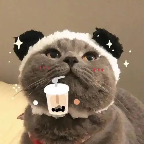 头像我宁愿失恋一百次也不愿意失去你一次