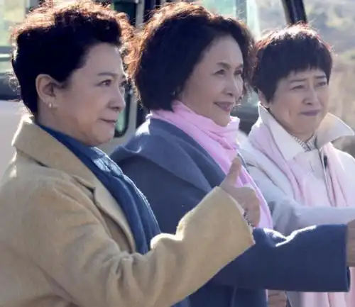 老闺蜜央视开播,五大女主平均年龄67岁,都是老艺术家啊