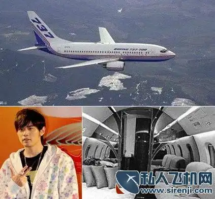 揭密大腕明星奢华私人飞机范冰冰不输赵本山