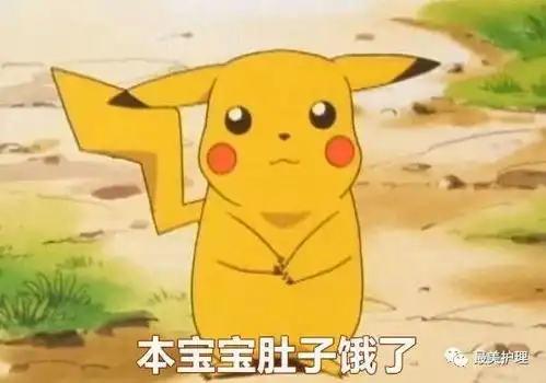 告急我有东西忘学校啦