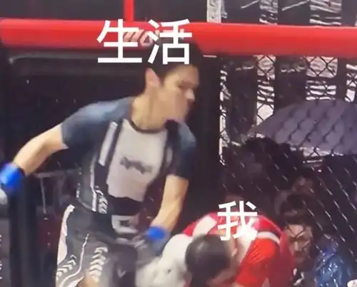 药水哥pk向佐引热议,赛后表情包火了倒地场景竟被p成情头