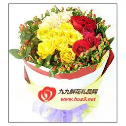 香槟玫瑰,黄玫瑰,红香槟玫瑰,黄玫瑰,红哪里买香槟玫瑰,黄玫瑰,红代表什么意思,鲜花蛋糕连锁