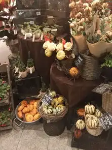 迟到了2年半的大阪,京都,奈良闺蜜亲子购物游含详细交通购物攻略