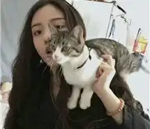 萌猫图片大全可爱闺蜜头像