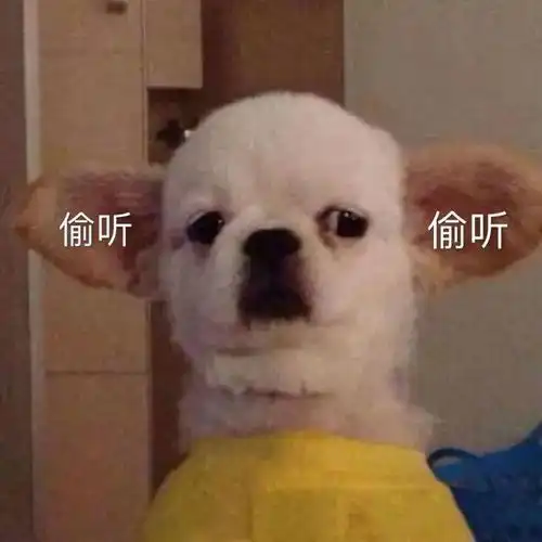 520锁定一见钟情