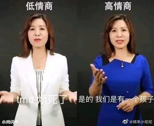 哔哩哔哩专栏