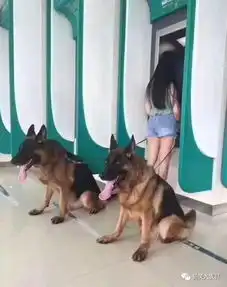 美女这么穿衣服,不会掉吗