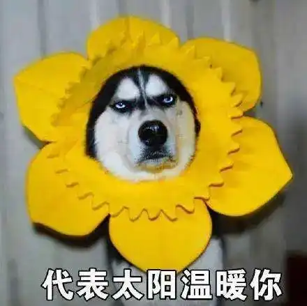 冷空气即将到货桂林要降温,还有雨雨雨