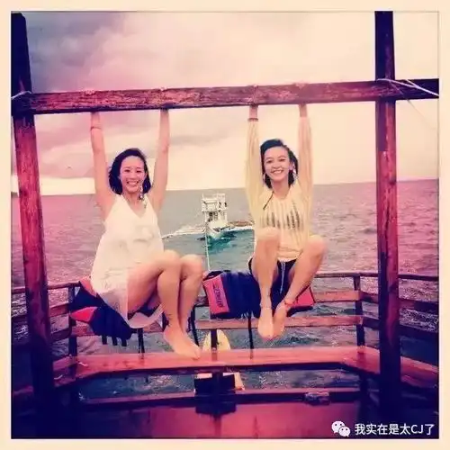 他们把自己逼成什么了