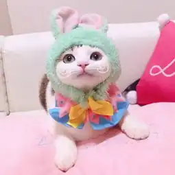 情头聊天突然不回复