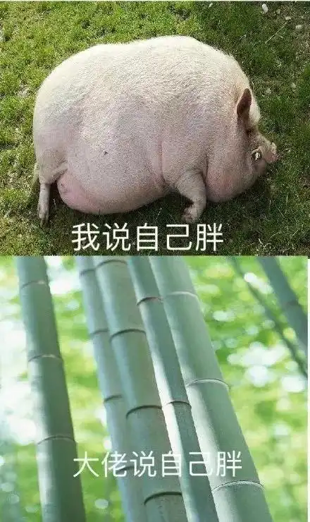 今日囧图我不买奢侈品单纯是因为我不喜欢,真的