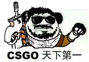 斑马智行2.0到底行不行可能是国内最好用的互联网系统