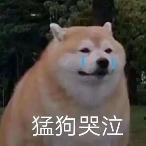 最低温1重庆迎来降温降雨降雪