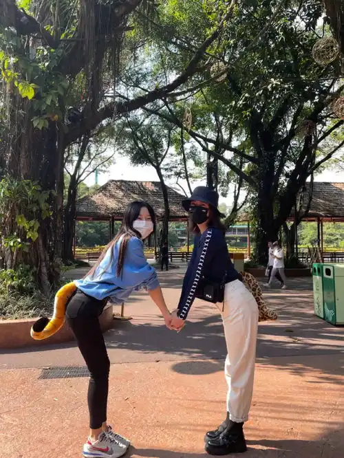 42岁高圆圆晒照在线追新剧身穿红衣气质超好