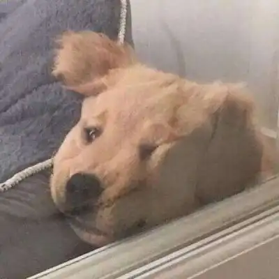 人生的十条小建议