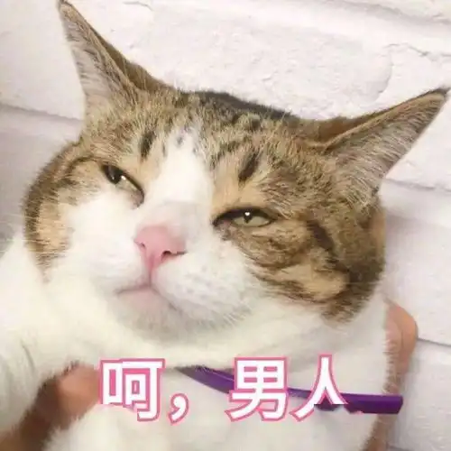 视频南宁街头采访如何评价林有有,直男竟是这样回答的
