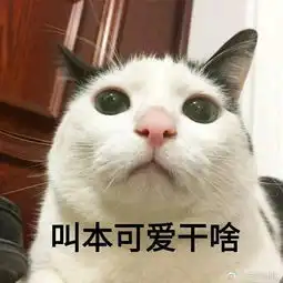 一战