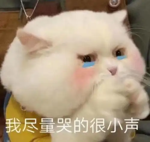 加拿大留学因为成绩差不上课没毕业怎么办