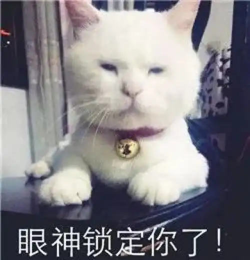 吸猫撸狗根本停不下来啊喂