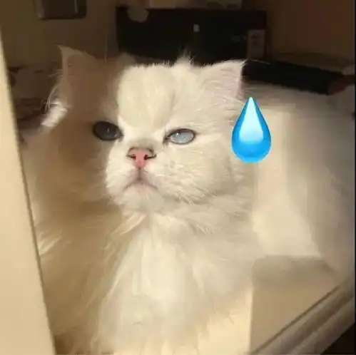 闺蜜头像太赞了