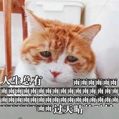雨雨雨雨雨雨雨未来一周将被雨水包场阵雨雷阵雨小雨全来了