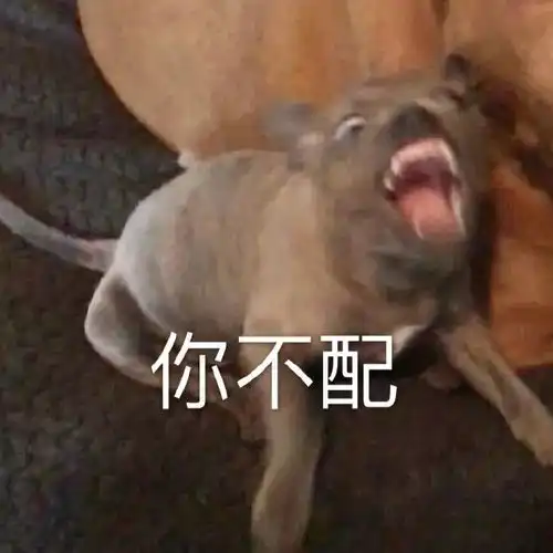我爸妈对我到底有什么误解