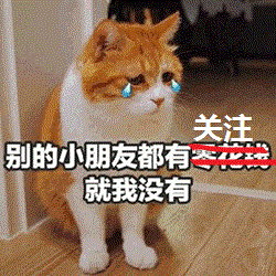 主人给猫咪买了新窝,没想到它却钻进了包装袋里,猫朕很满意