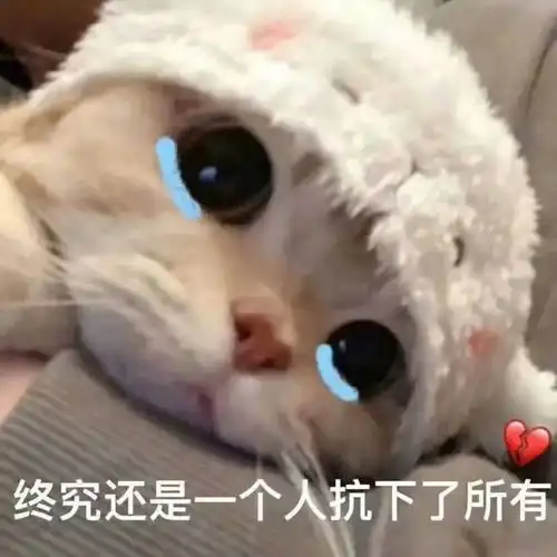 最新一波聊天口误翻车现场曝光,哈哈哈哈哈哈哈笑出猪叫