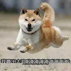 戚薇风人像照怎么拍我教你这可盐可甜范儿太太太美了