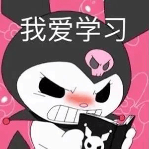 sanrio三丽鸥丨kuromi库洛米系列四