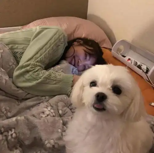 头像这种沙雕头像不常见啊