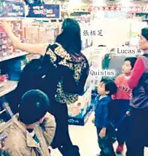 张柏芝带儿逛街挑玩具疑与赵本山相约辽宁春晚