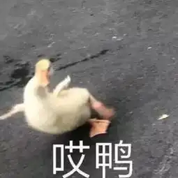 万千颜粉的新墙头,大杀四方的美颜竟也有这个困扰