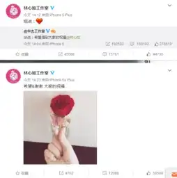 林心如霍建华520洒最惊人狗粮还珠三姐妹终得归宿