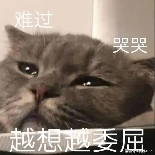 小闭口刷酸有效还是冻干粉有效