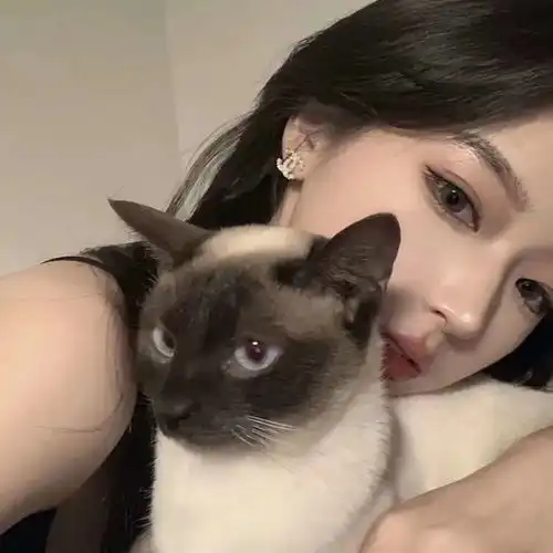 情头,也就是你我才同意
