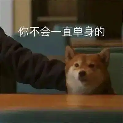 抖音最近热门表情包合集,又萌又可爱