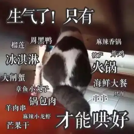 卖萌撒娇表情包我生气了哄不好的那种