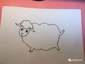 可爱的小羊