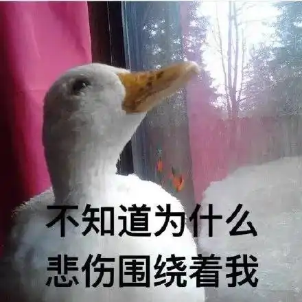 璇言璇语打造创造营单人出圈第一人