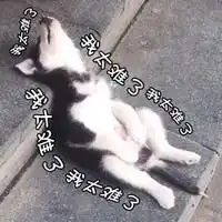 心付一人