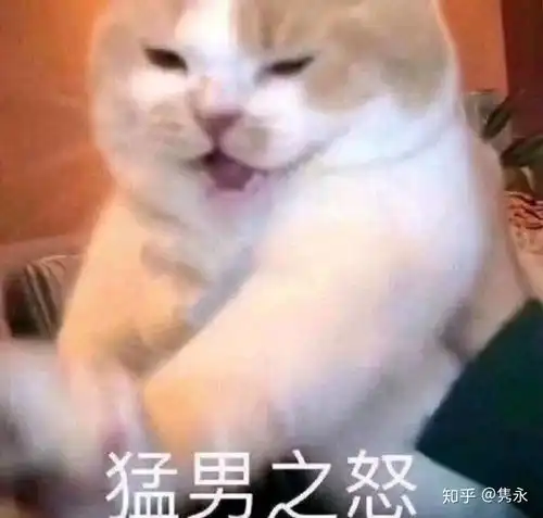 有哪些好看的表情包