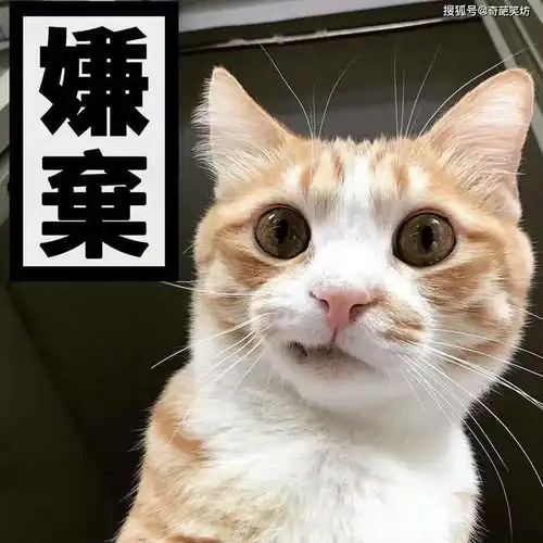 幽默笑话晚上跟闺蜜喝醉酒没有回家我妈骂我不洁身自爱