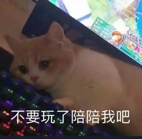 爱情路上的我