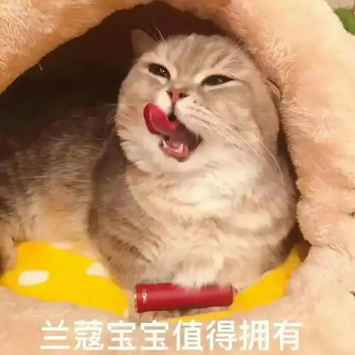 超可爱搞笑表情包