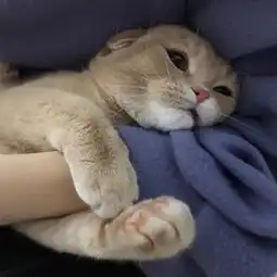 头像钱才是最爱没有之一