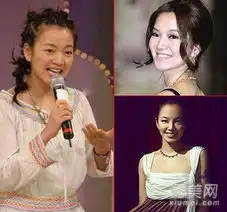 林志玲陈乔恩大s女星整容后惨变猪头脸