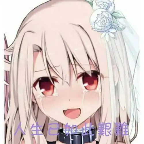自己常用表情包分享乛乛