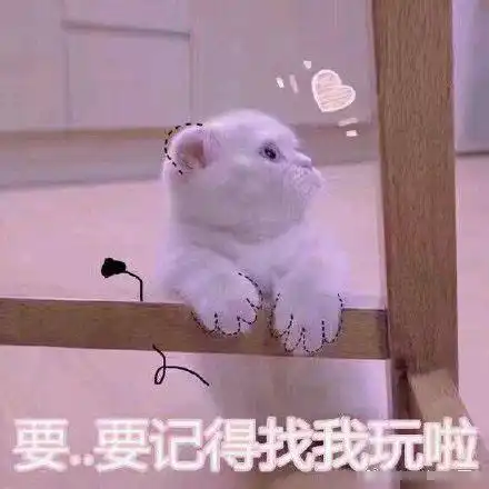 很皮的女朋友表情包晚什么安,我巴不得你想起我,夜不能寐